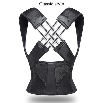 Back support belt