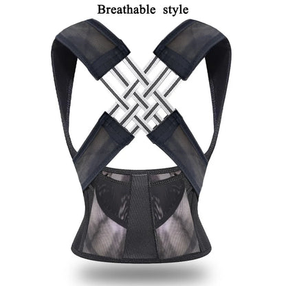 Back support belt